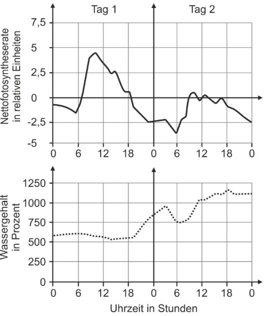 Zwei Diagramme über 48 Stunden: oben Nettofotosyntheserate (Schwankungen), unten Wassergehalt in % (steigend), Zeitachse Stunden.